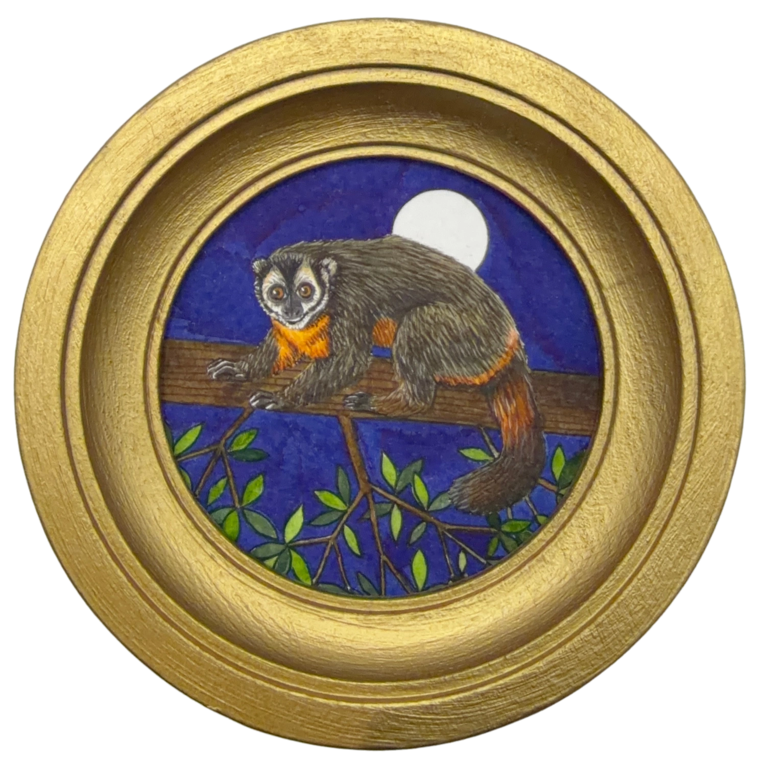 [024] Black-headed night monkey