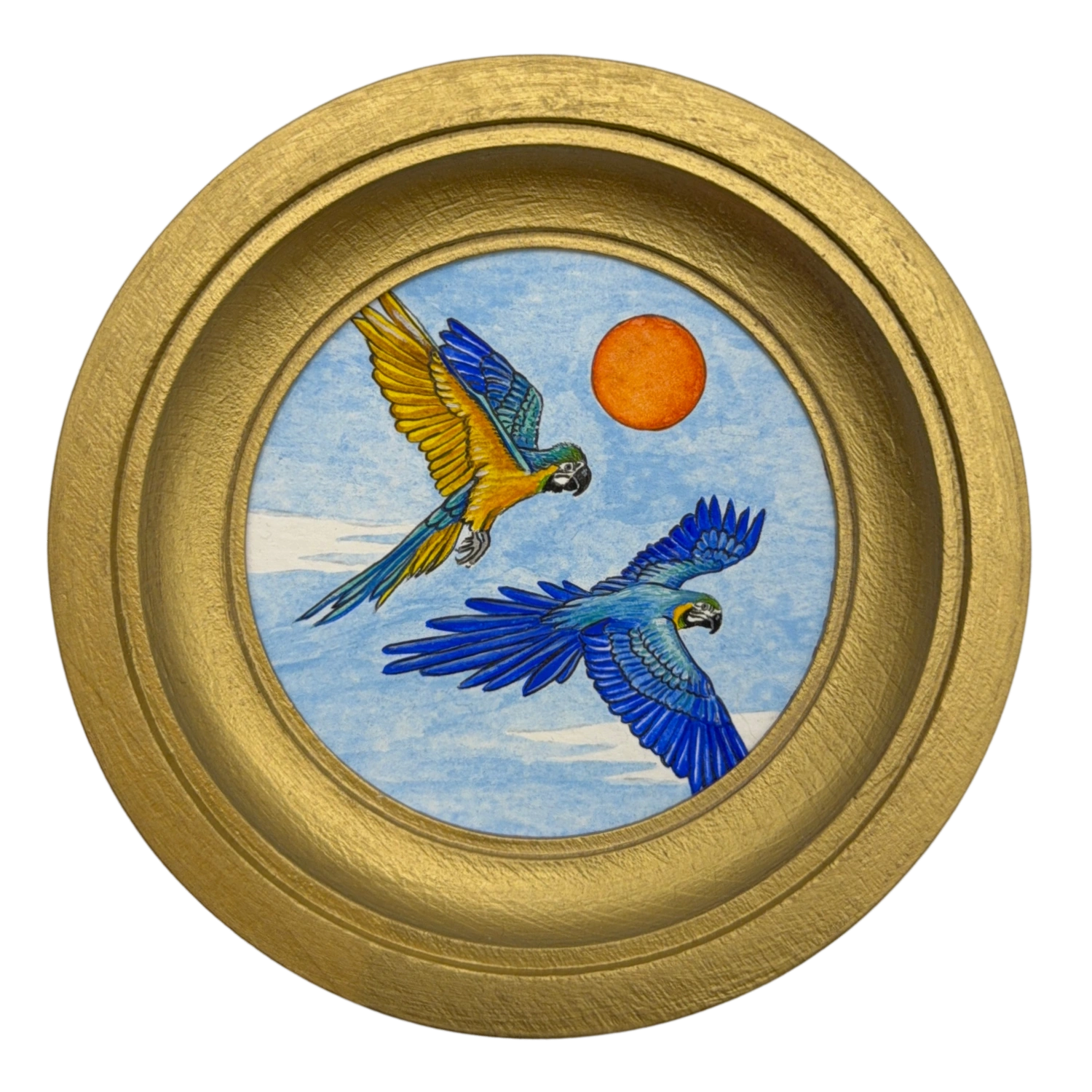 [025] Blue and yellow macaw