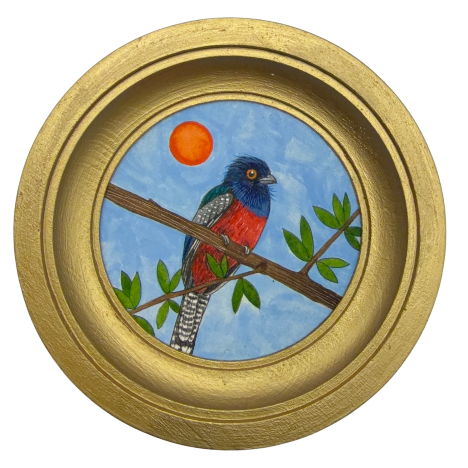 [027] Blue-crowned trogon