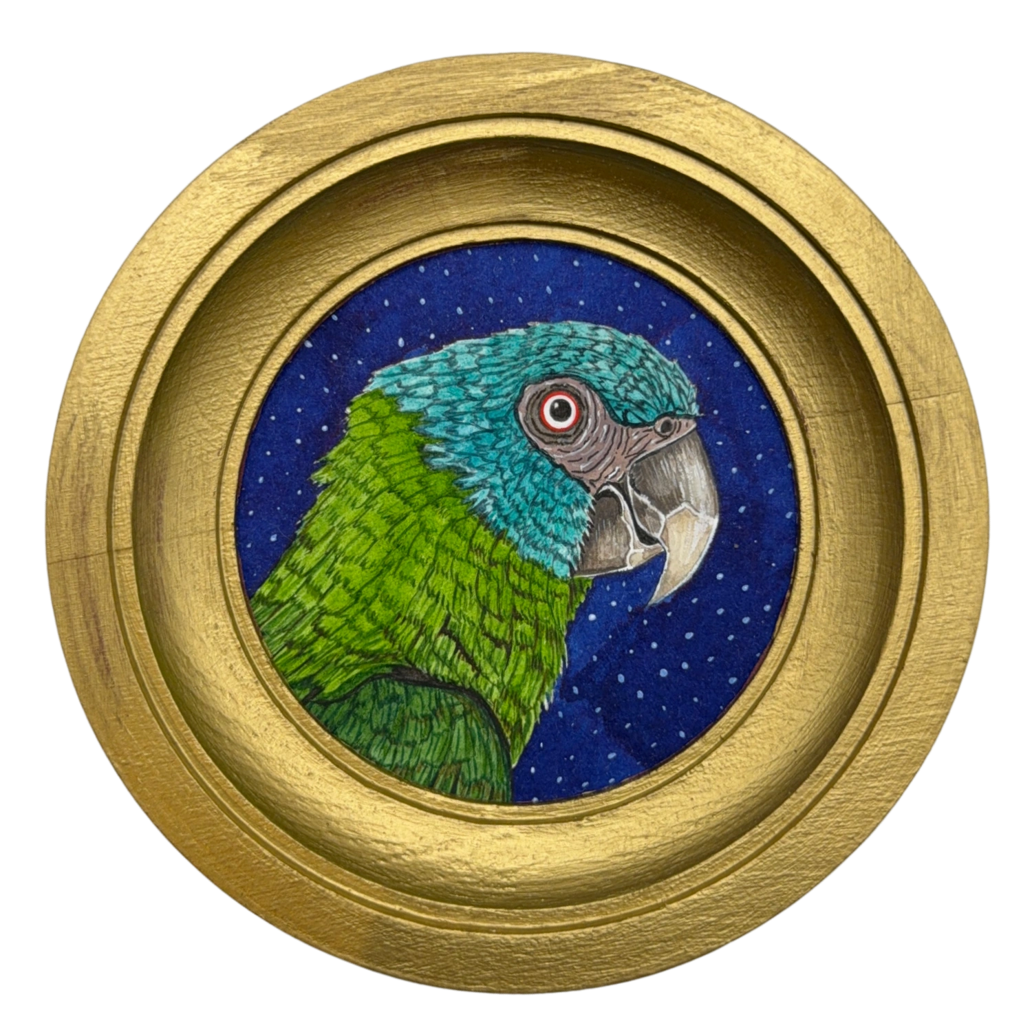 [028] Blue-headed macaw