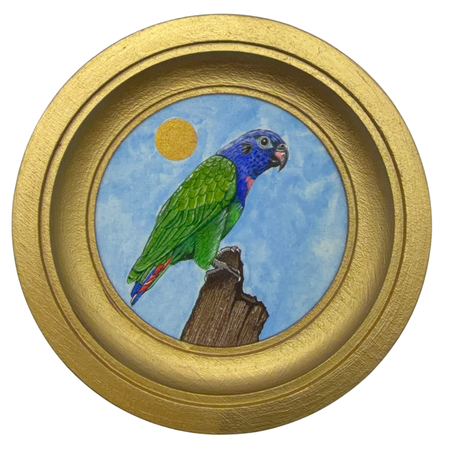 [029] Blue-headed parrot