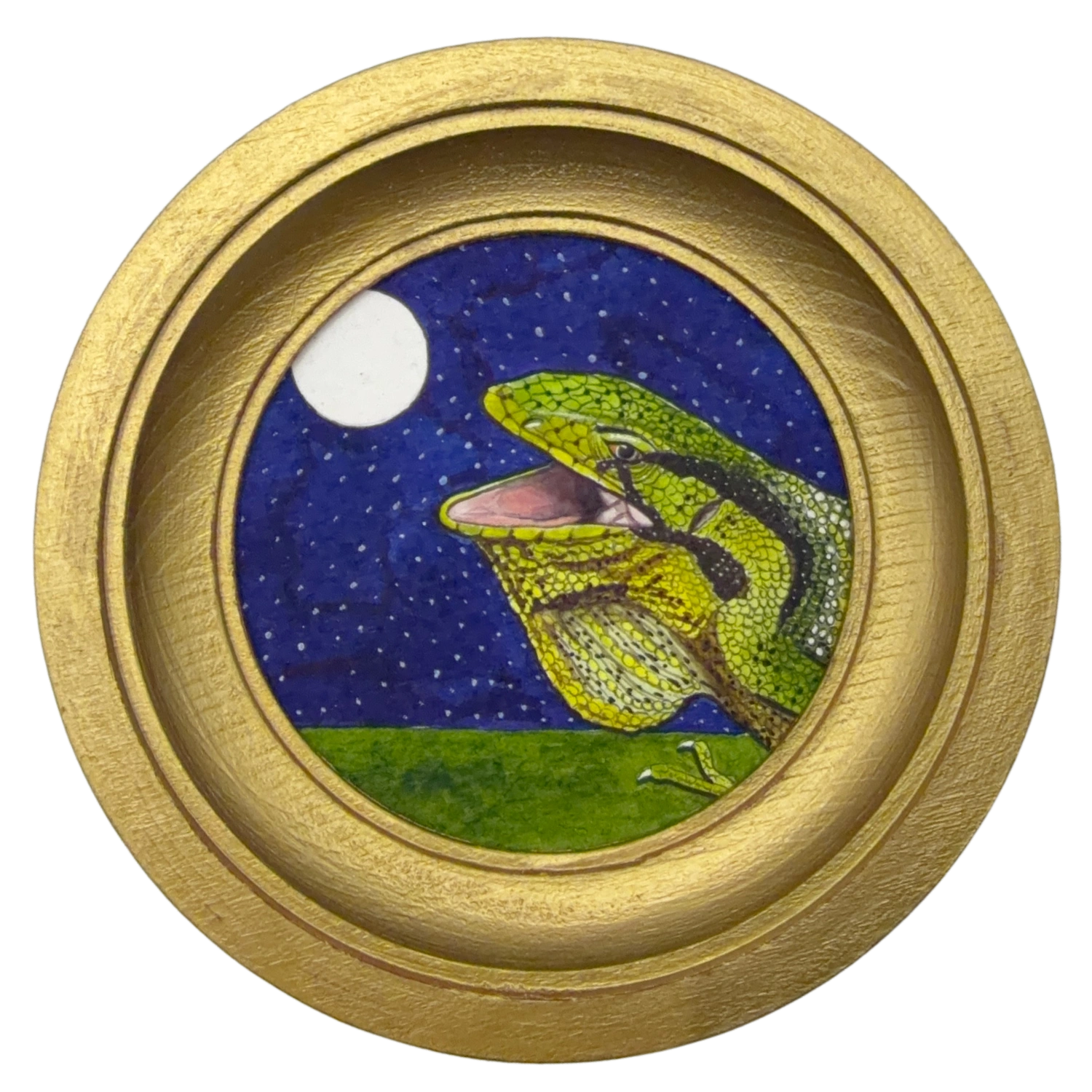 [035] Boulenger's bush anole