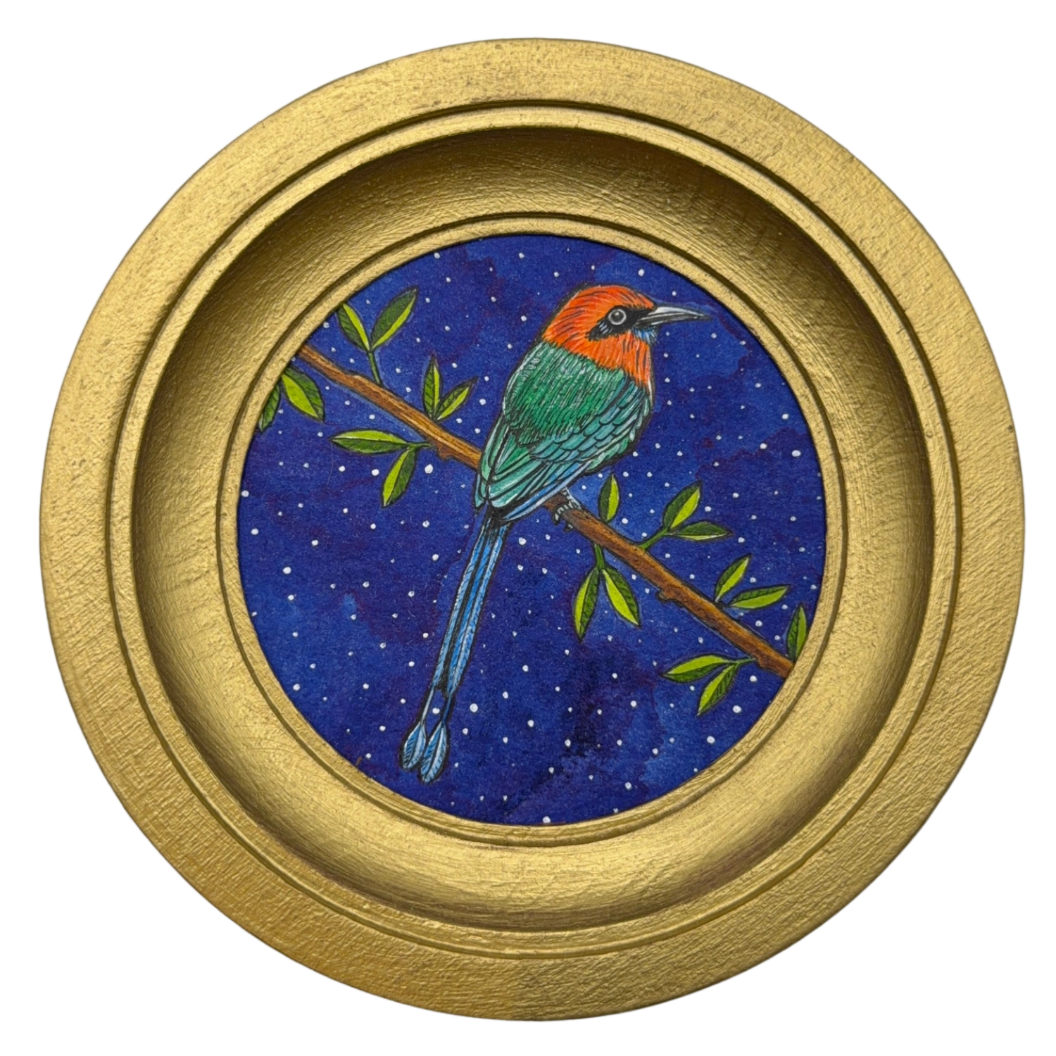 [036] Broad-billed motmot