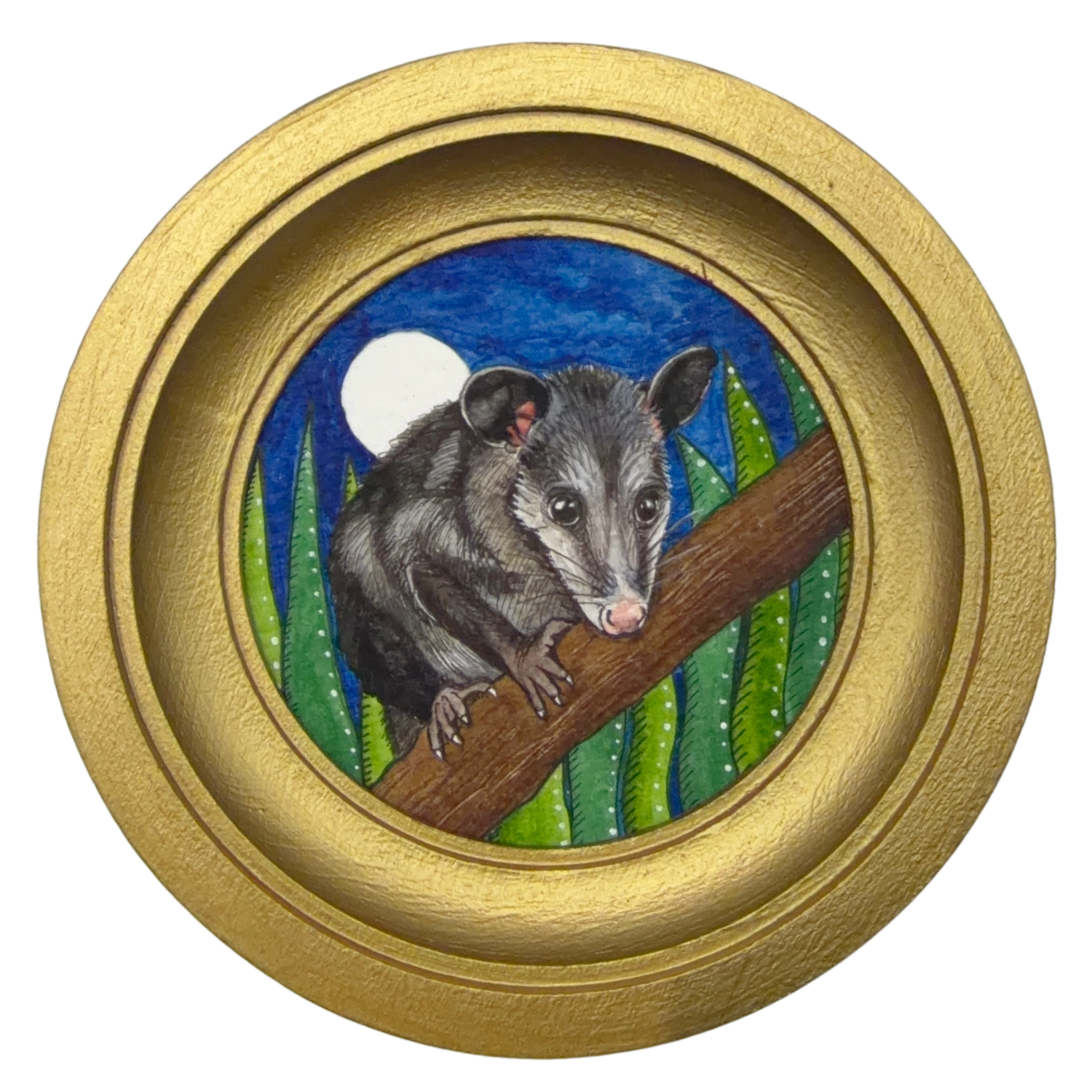 [043] Common opossum