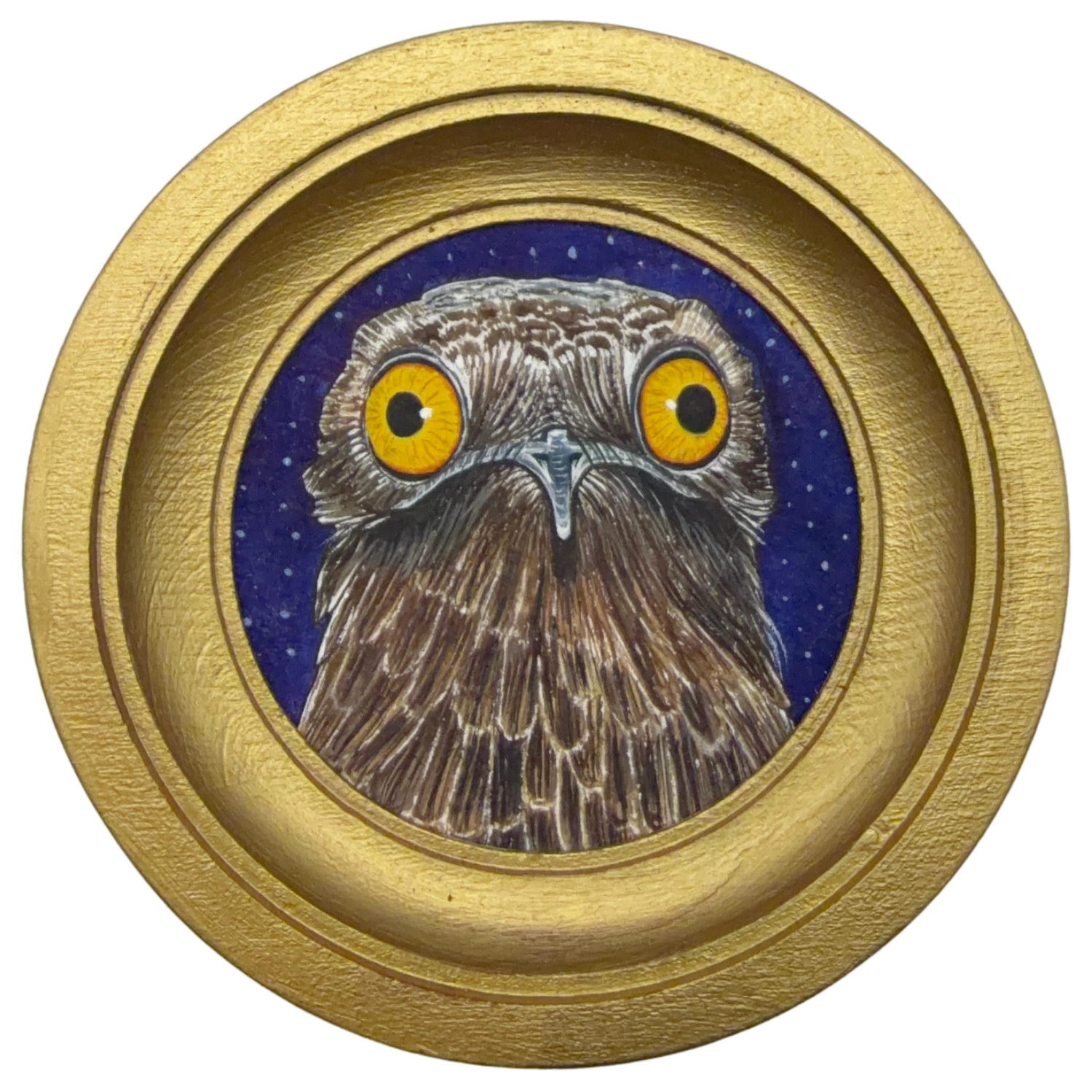 [044] Common potoo