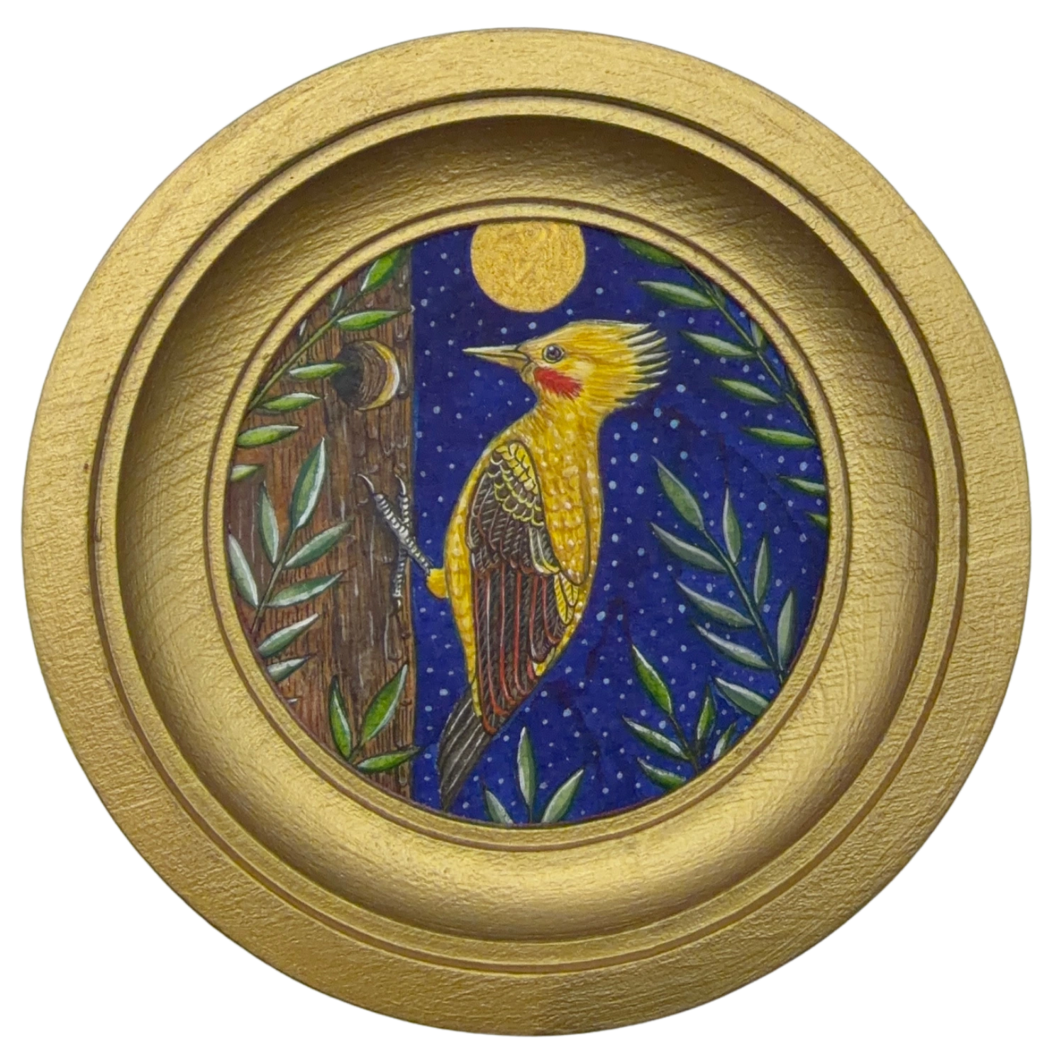 [047] Cream-colored woodpecker