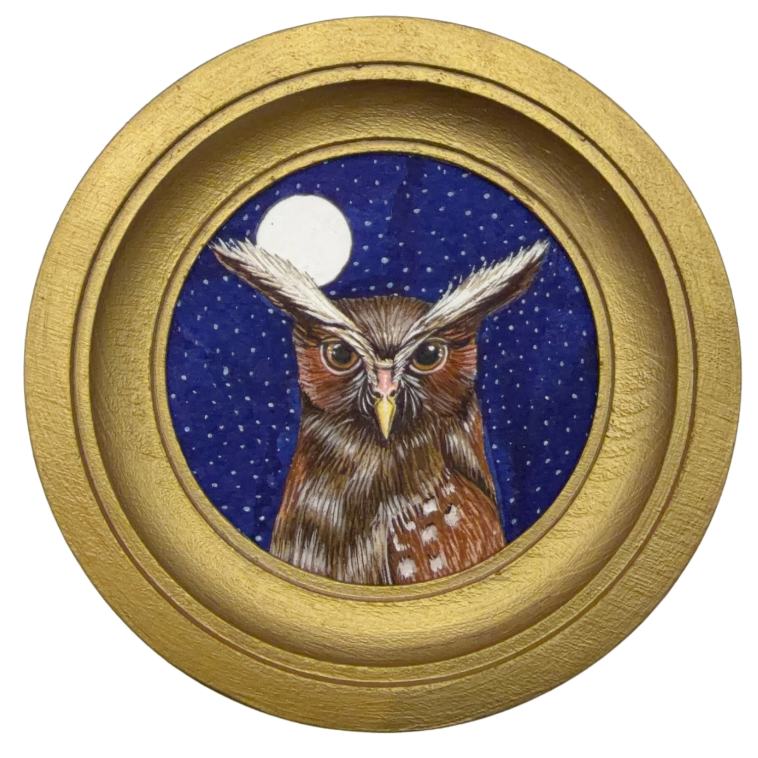 [048] Crested owl