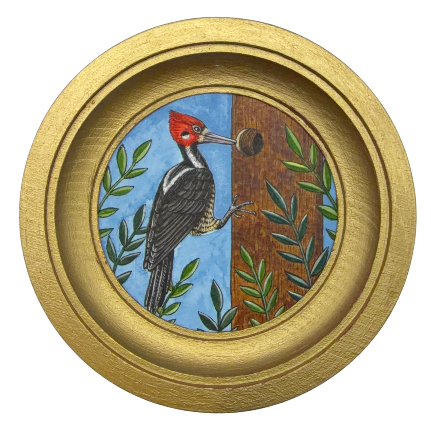 [049] Crimson-crested woodpecker