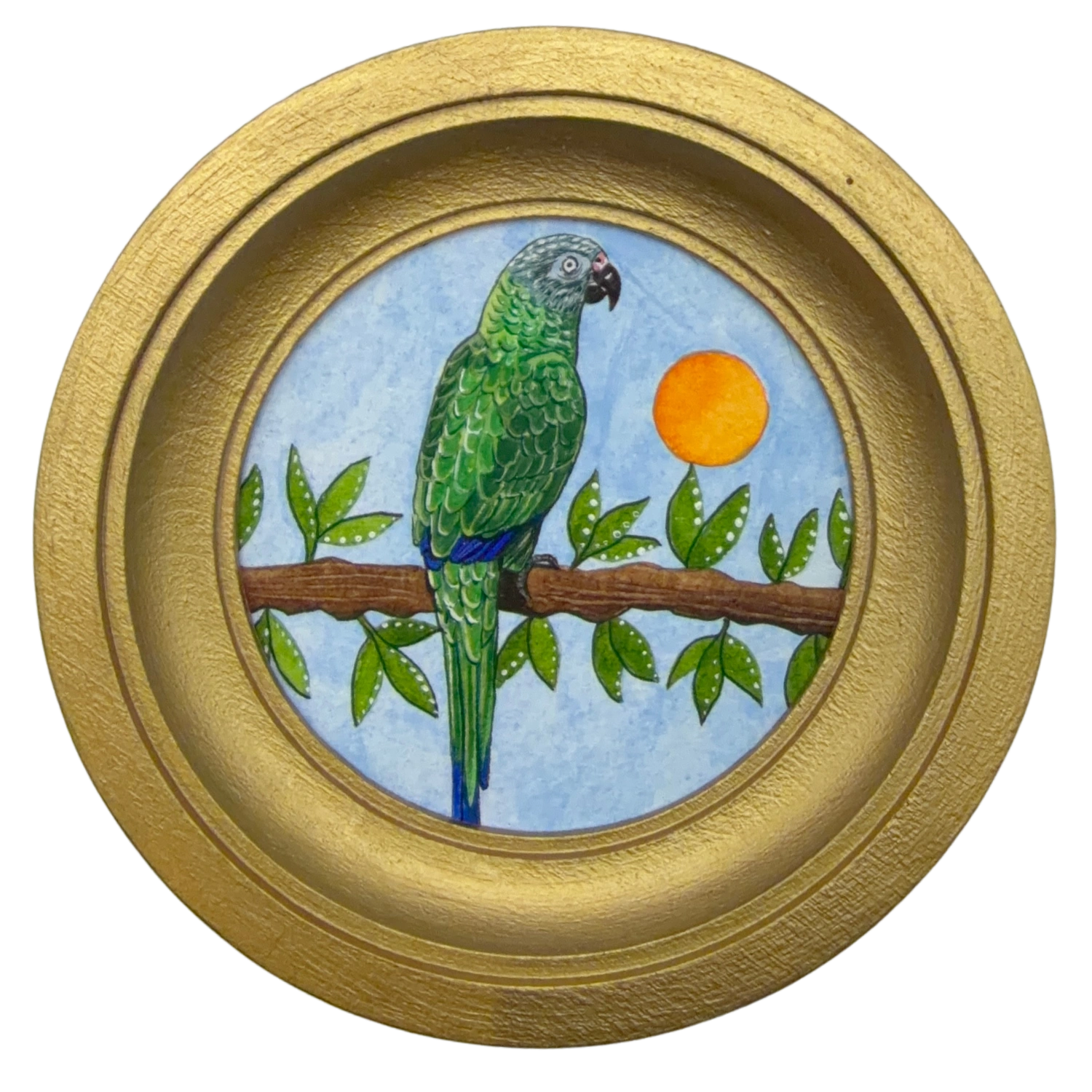 [051] Dusky headed parakeet