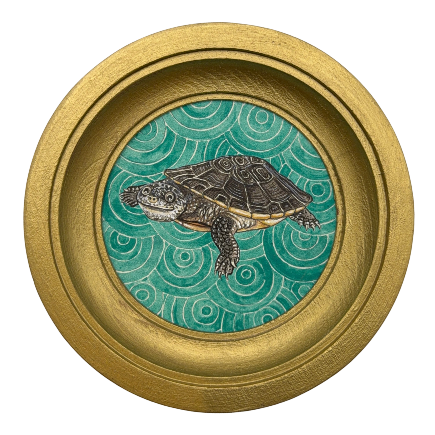 [057] Gibba turtle
