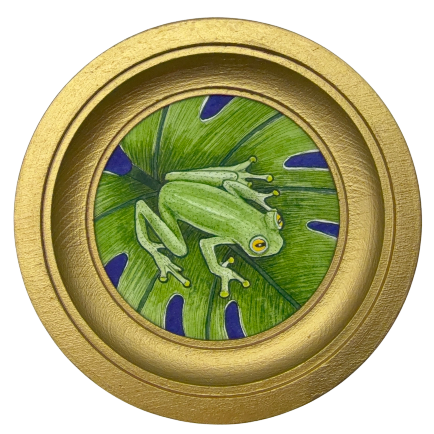 [058] Glass frog