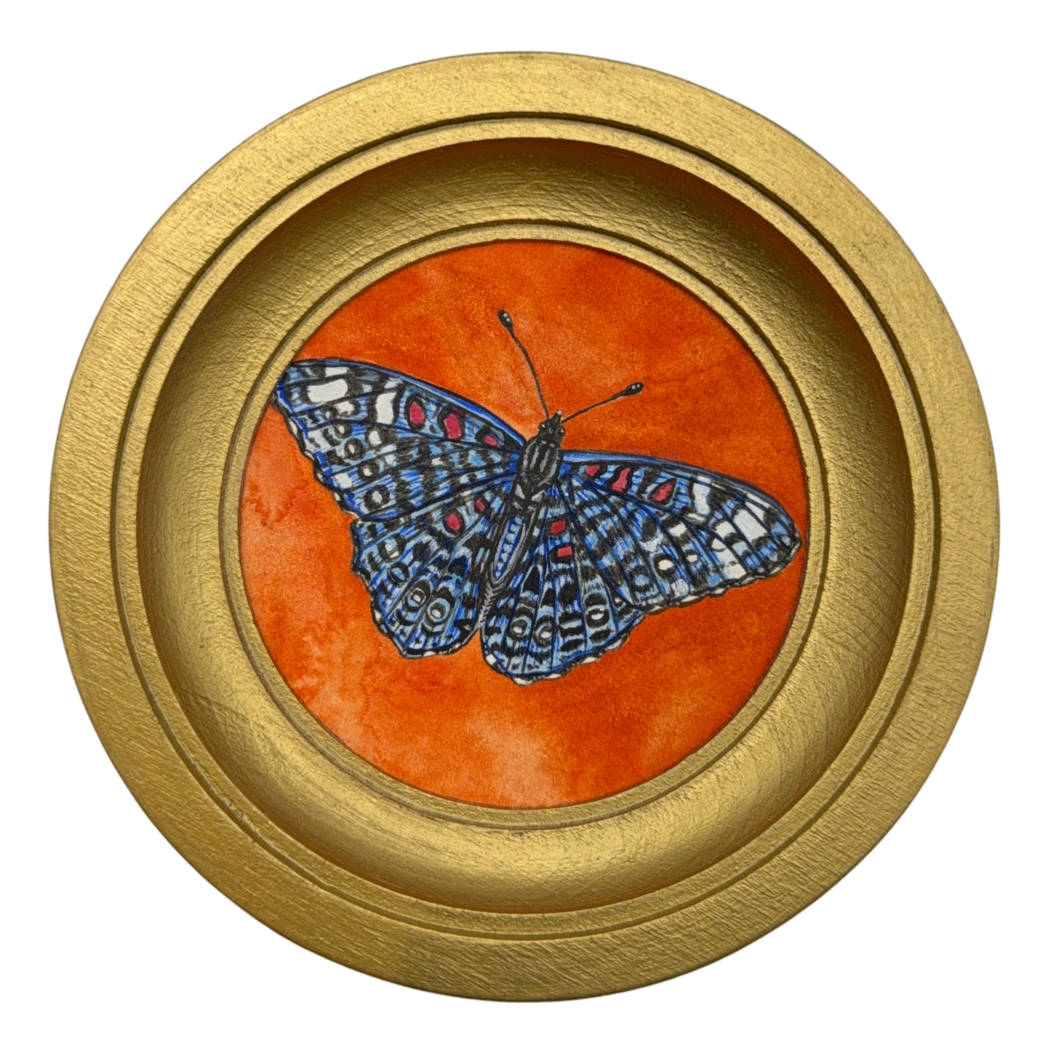 [064] Hamadryas chloe