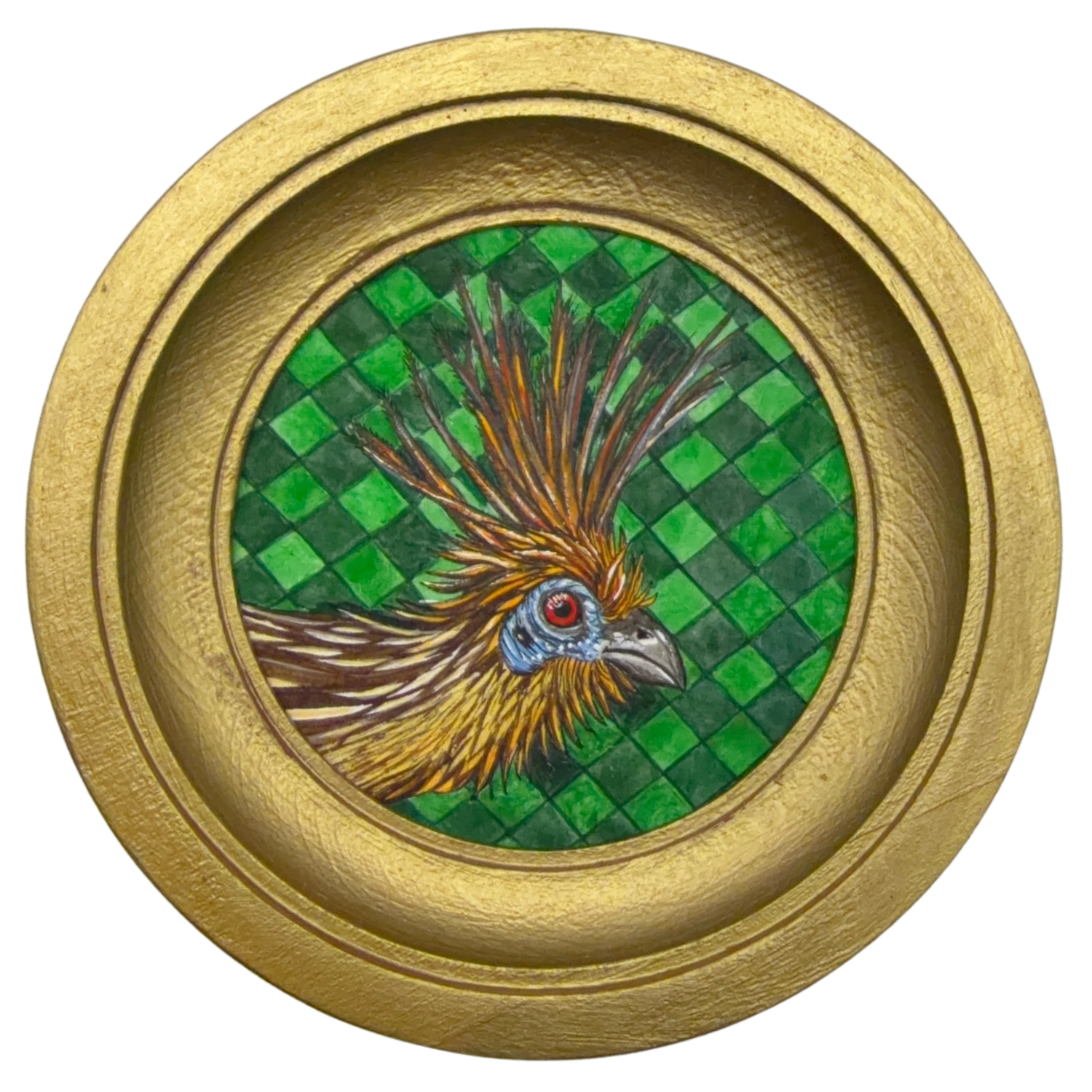 [065] Hoatzin