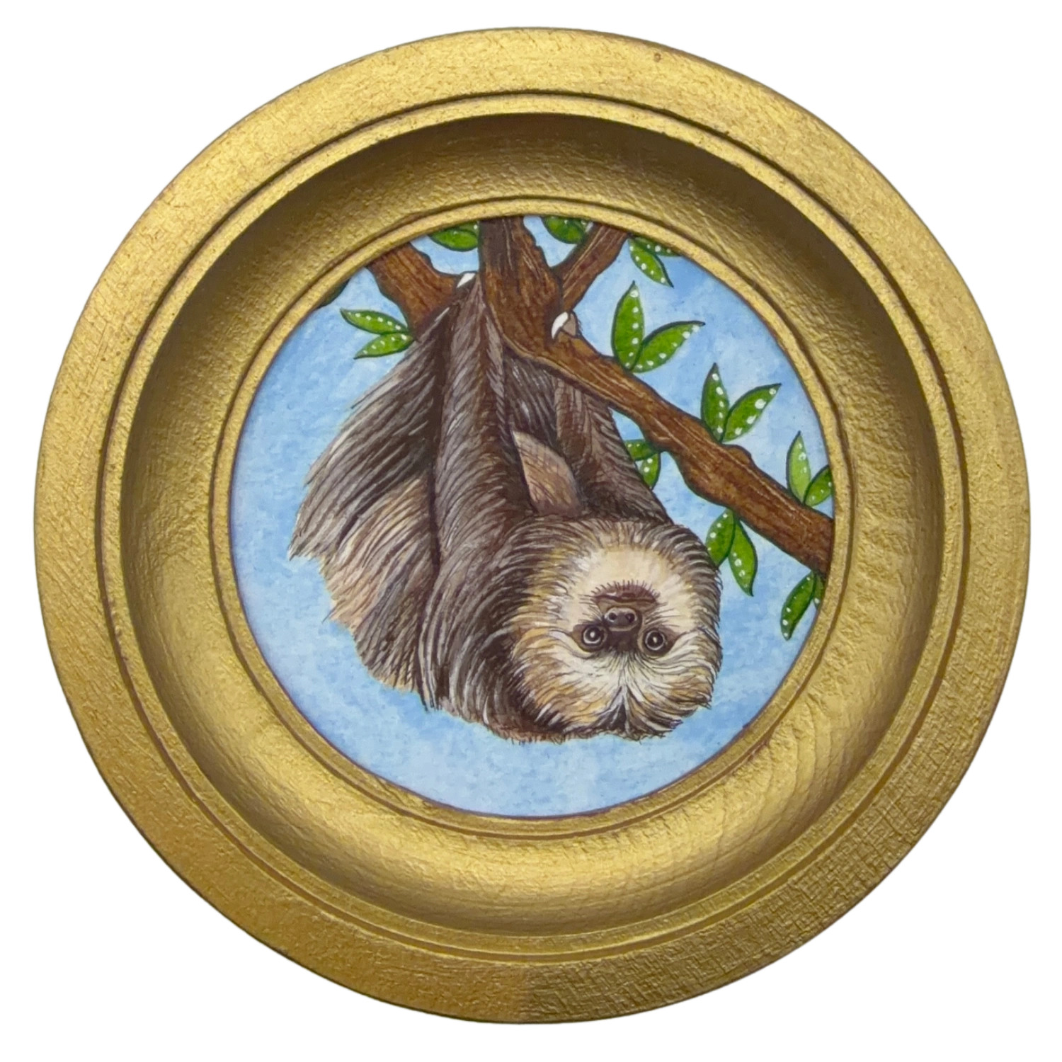 [066] Hoffmann's two-toed sloth