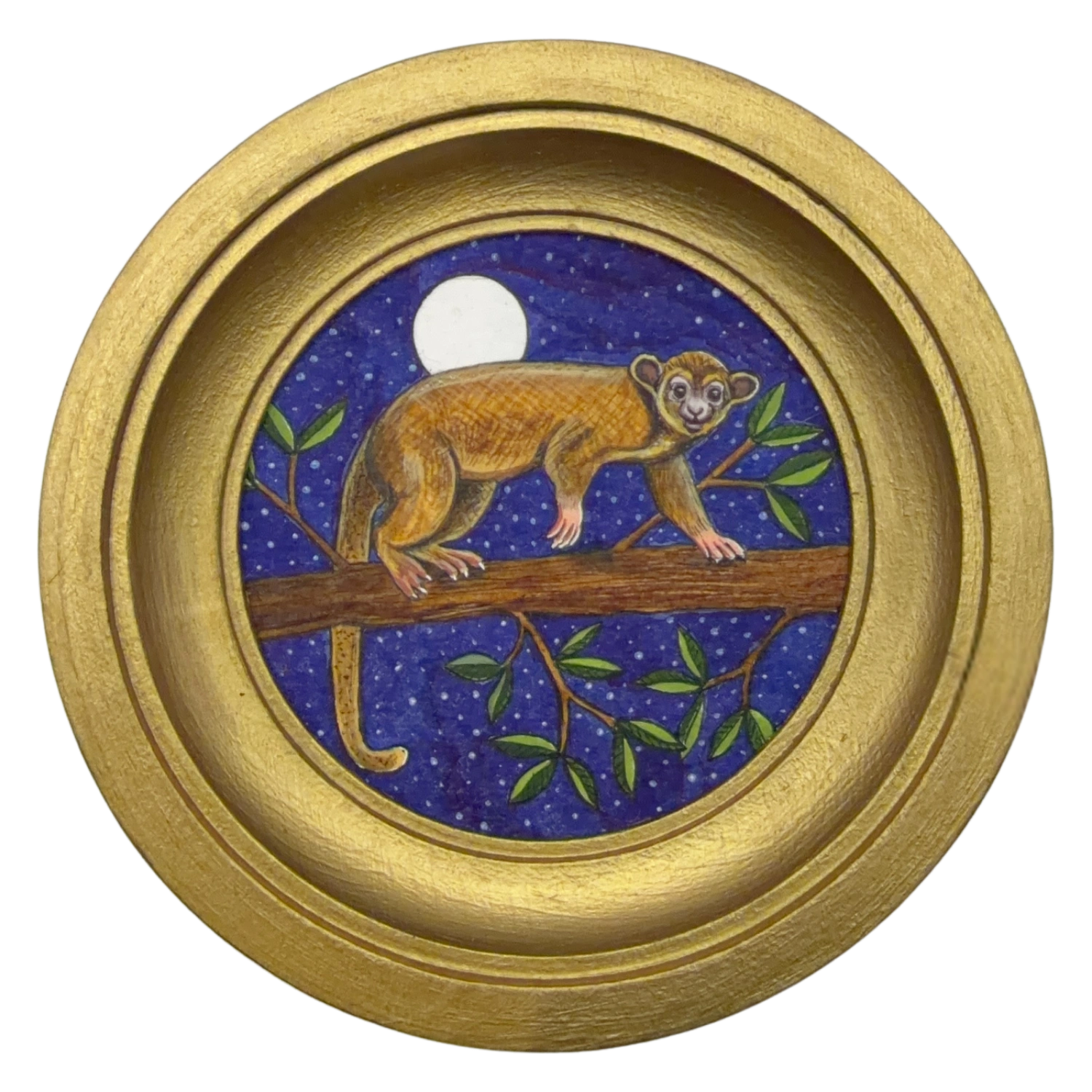 [070] Kinkajou