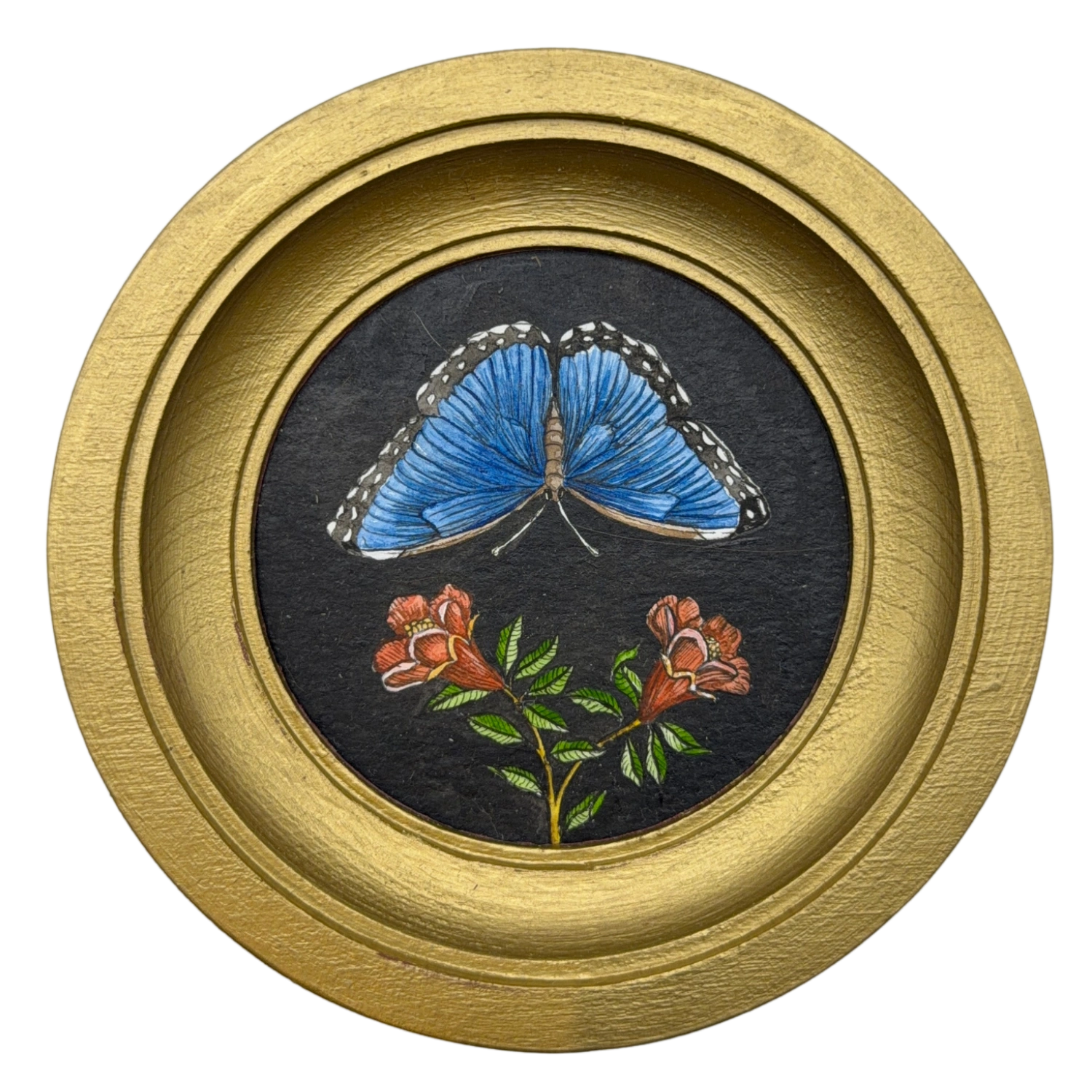 [075] Morpho