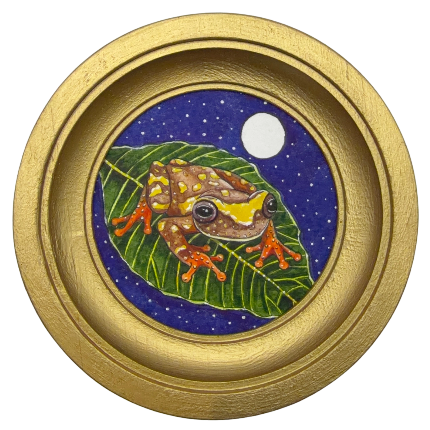 [076] Mottled clown treefrog