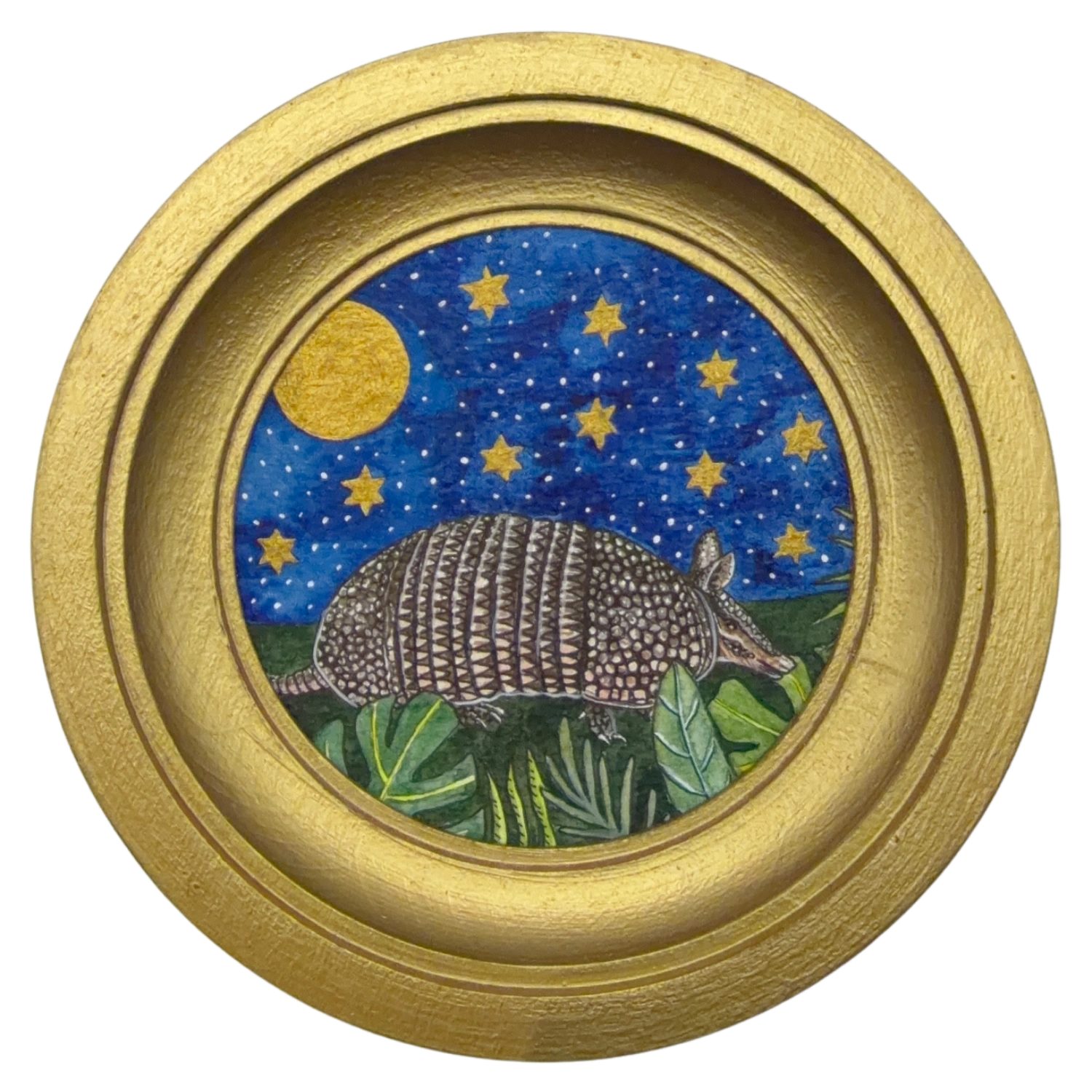 [079] Nine banded armadillo