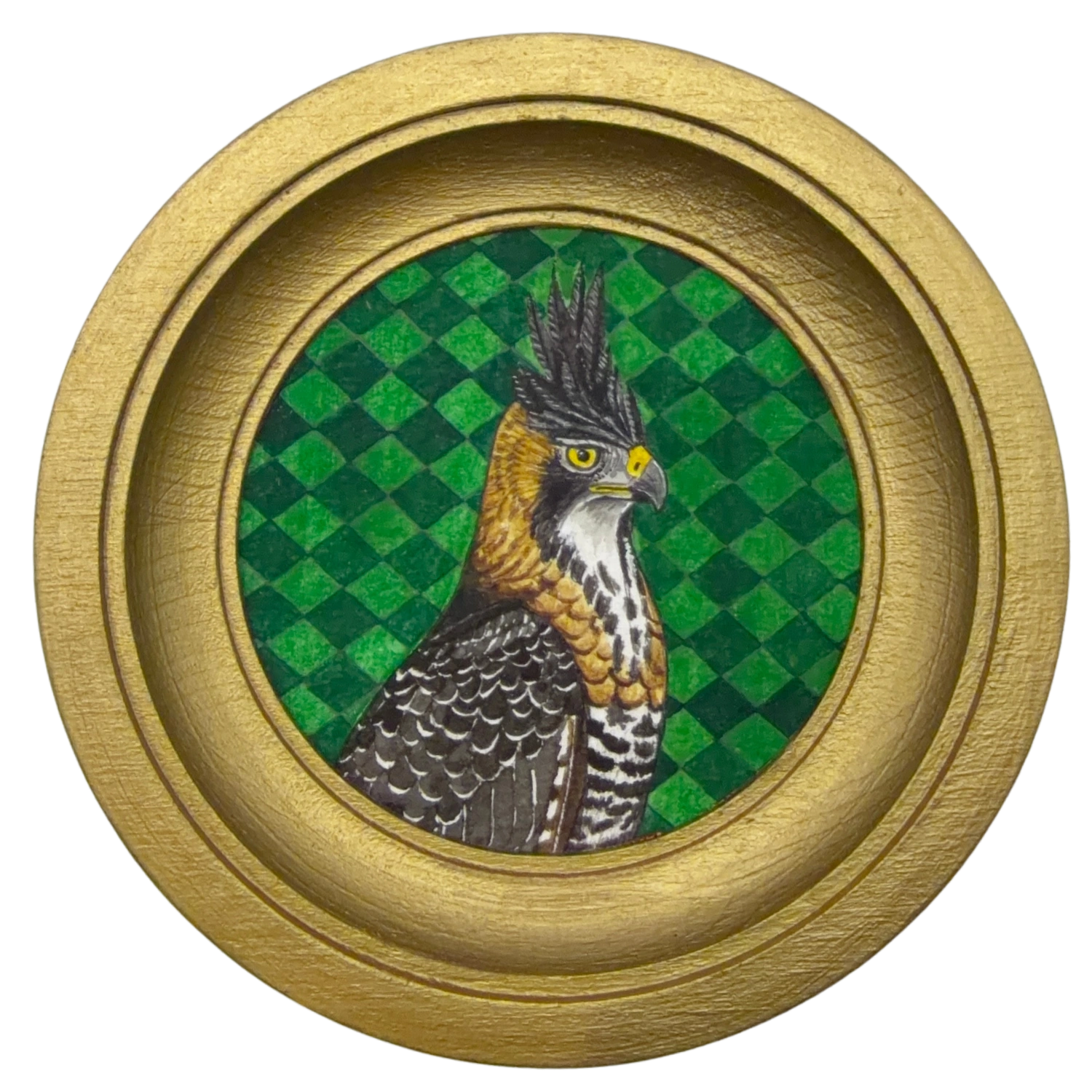 [081] Ornate hawk-eagle