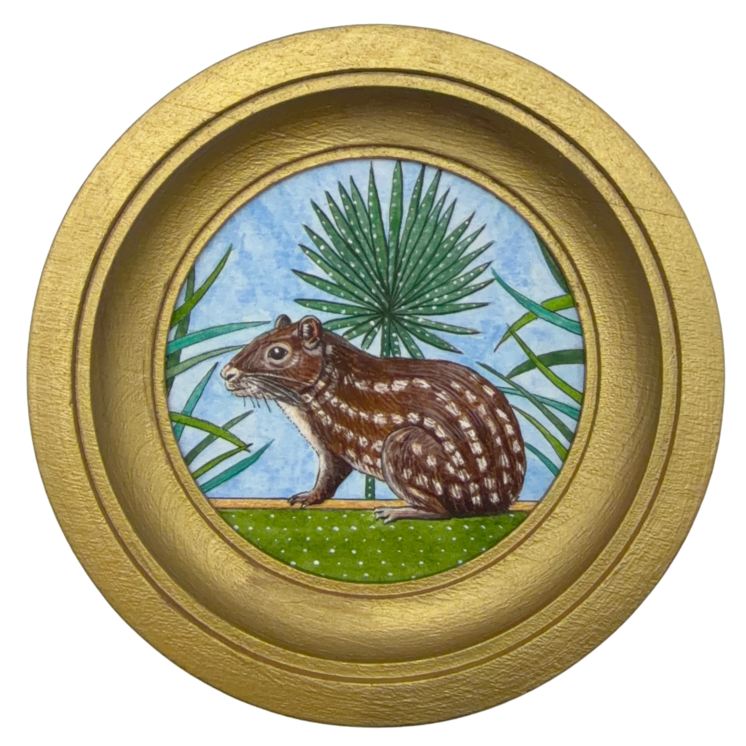 [082] Paca