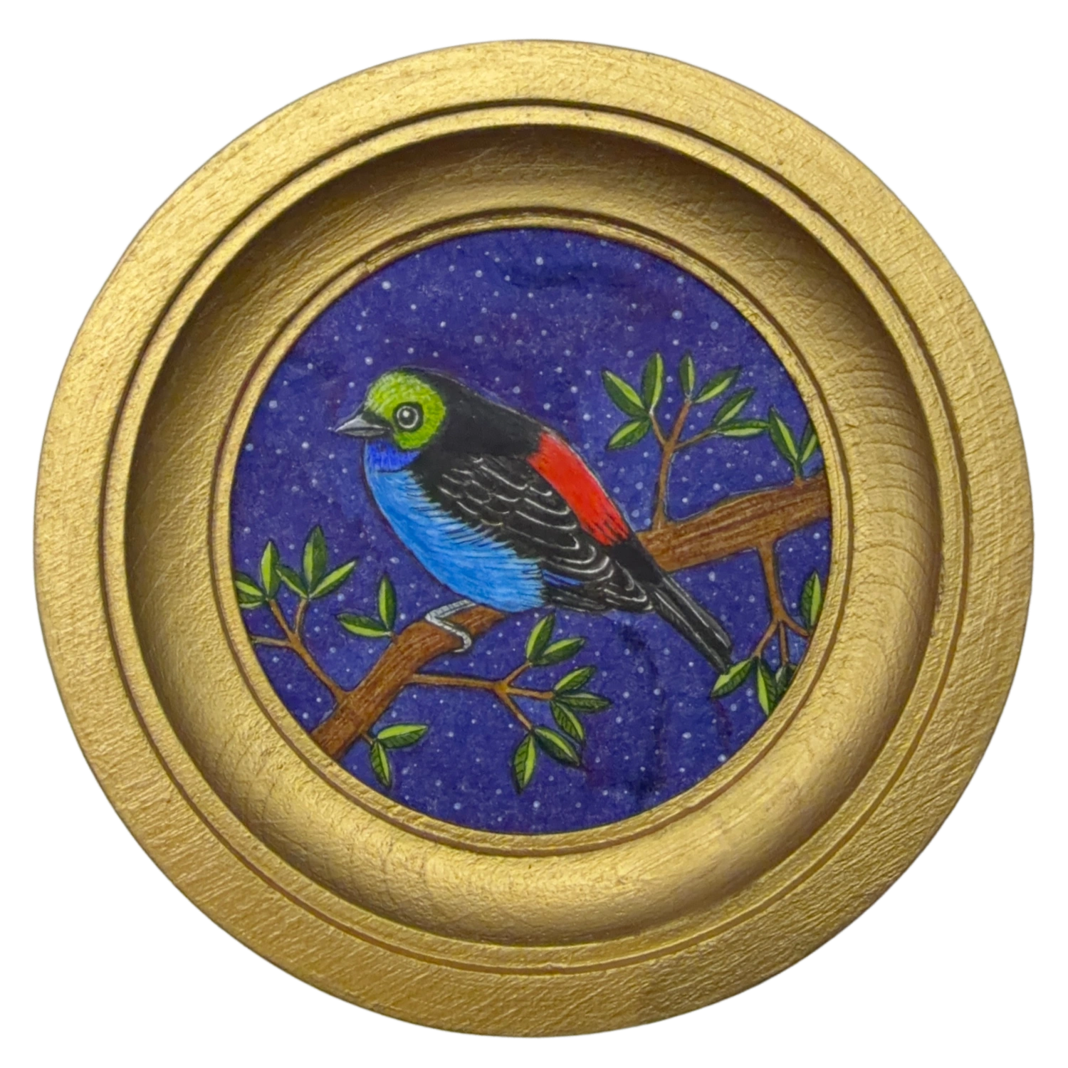 [085] Paradise tanager