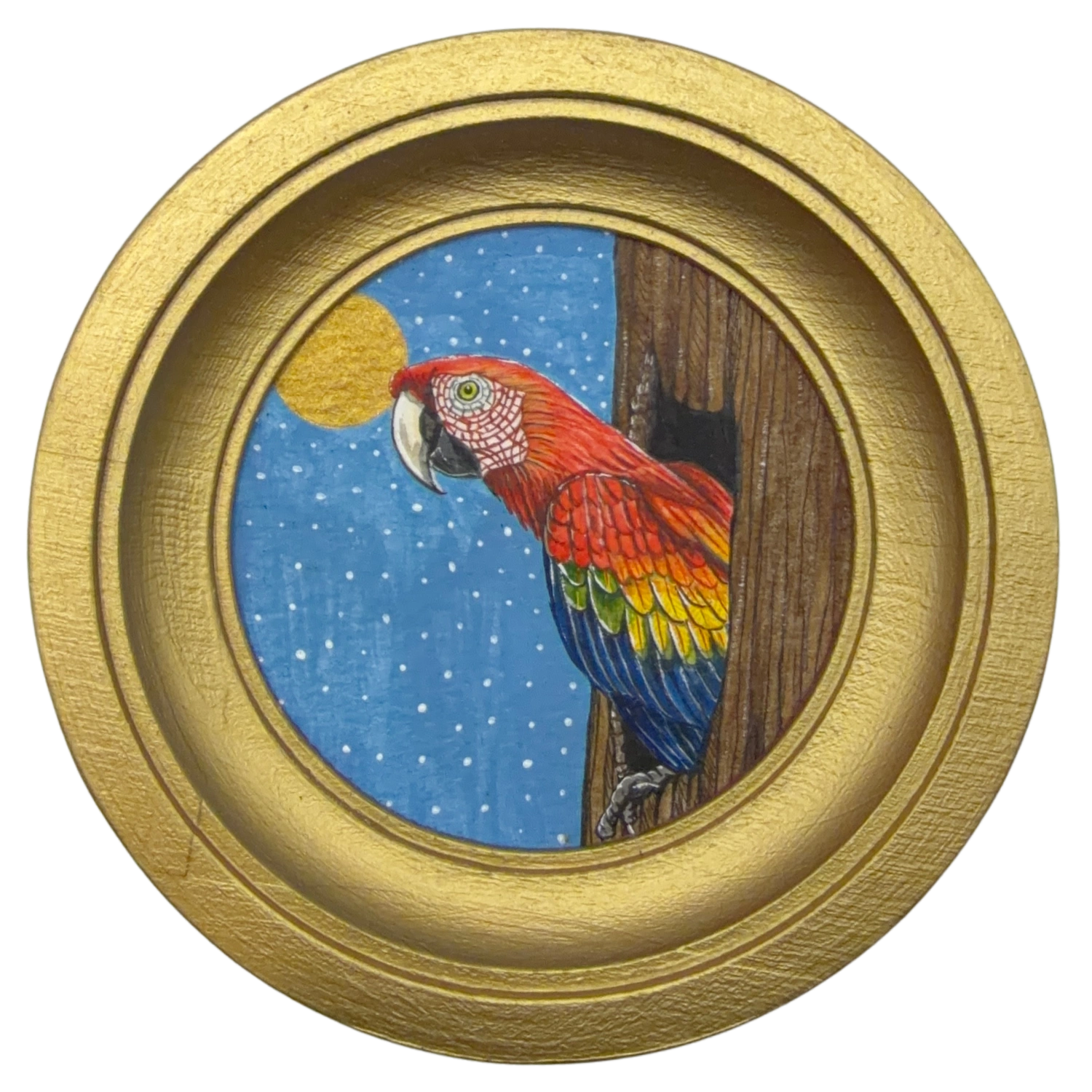 [095] Scarlet macaw