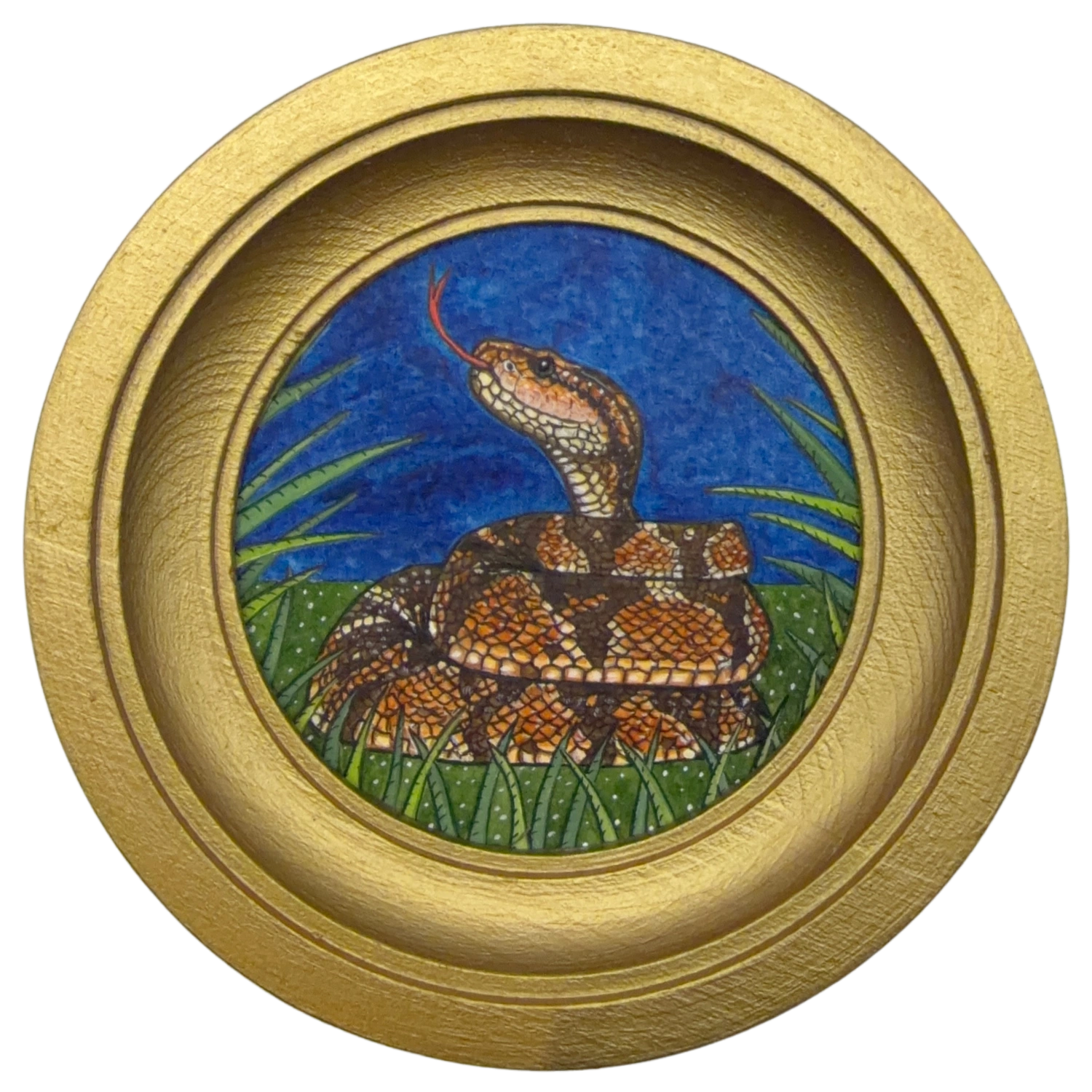 [098] South american bushmaster