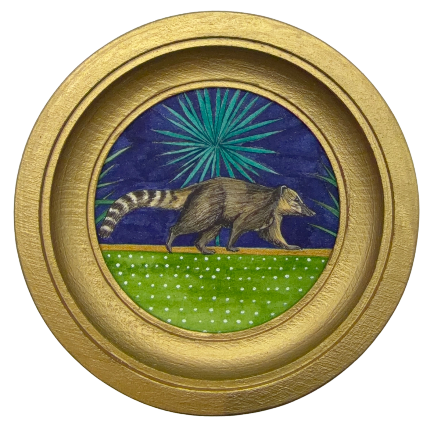 [099] South american coati