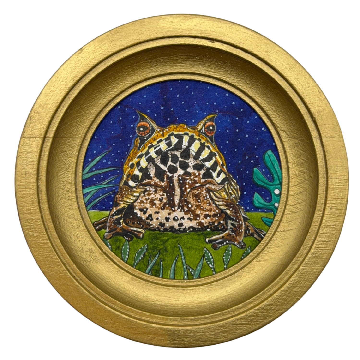 [103] Spix's horned treefrog