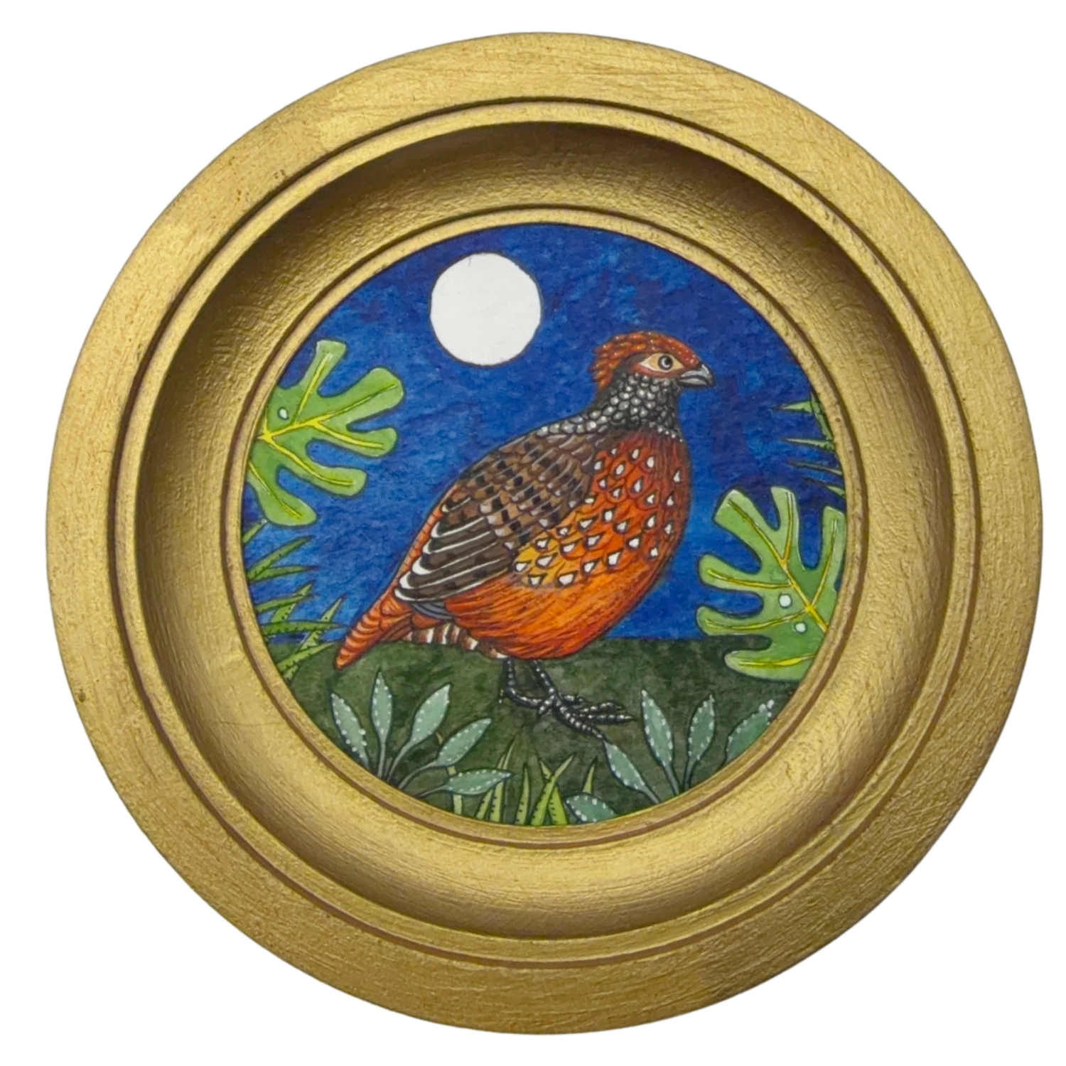 [104] Starred wood-quail