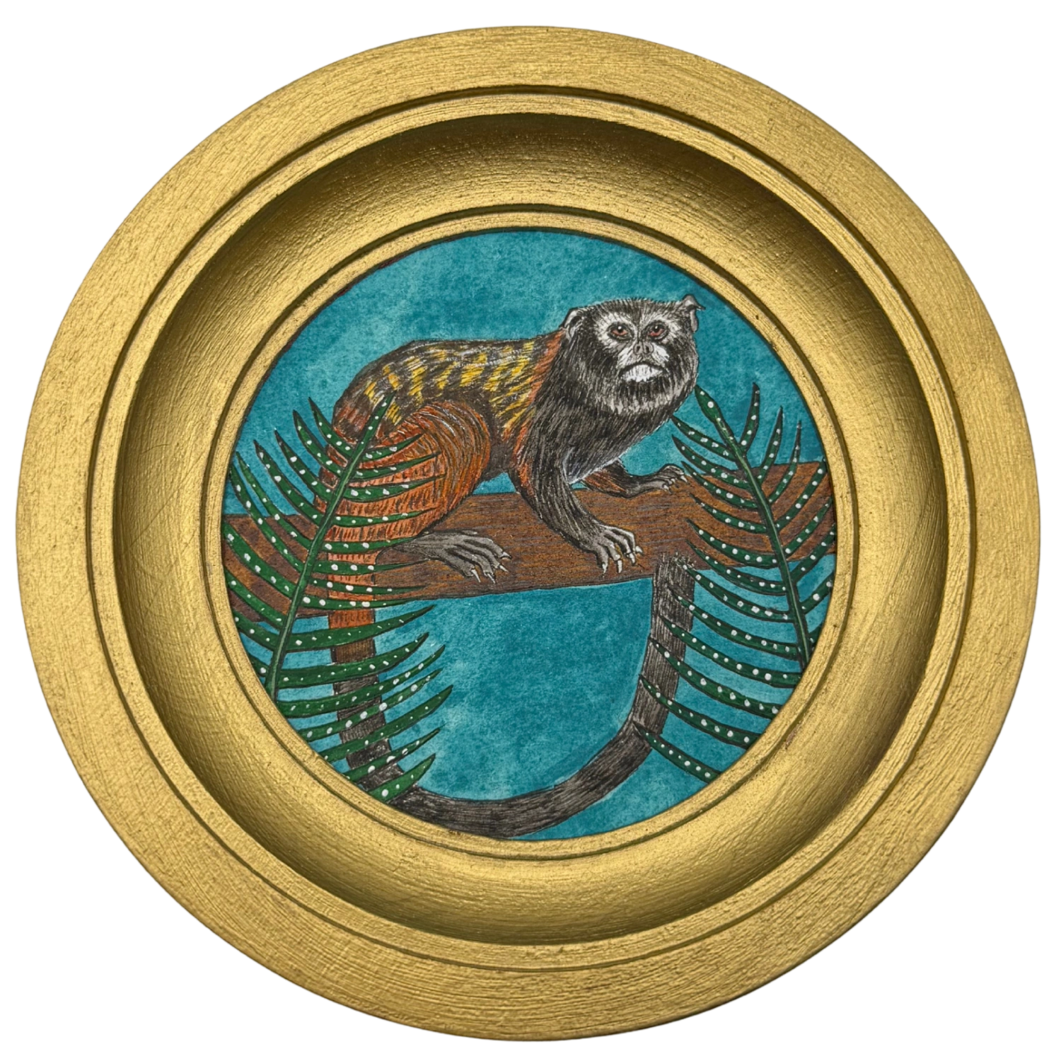 [116] Weddels saddle back tamarin