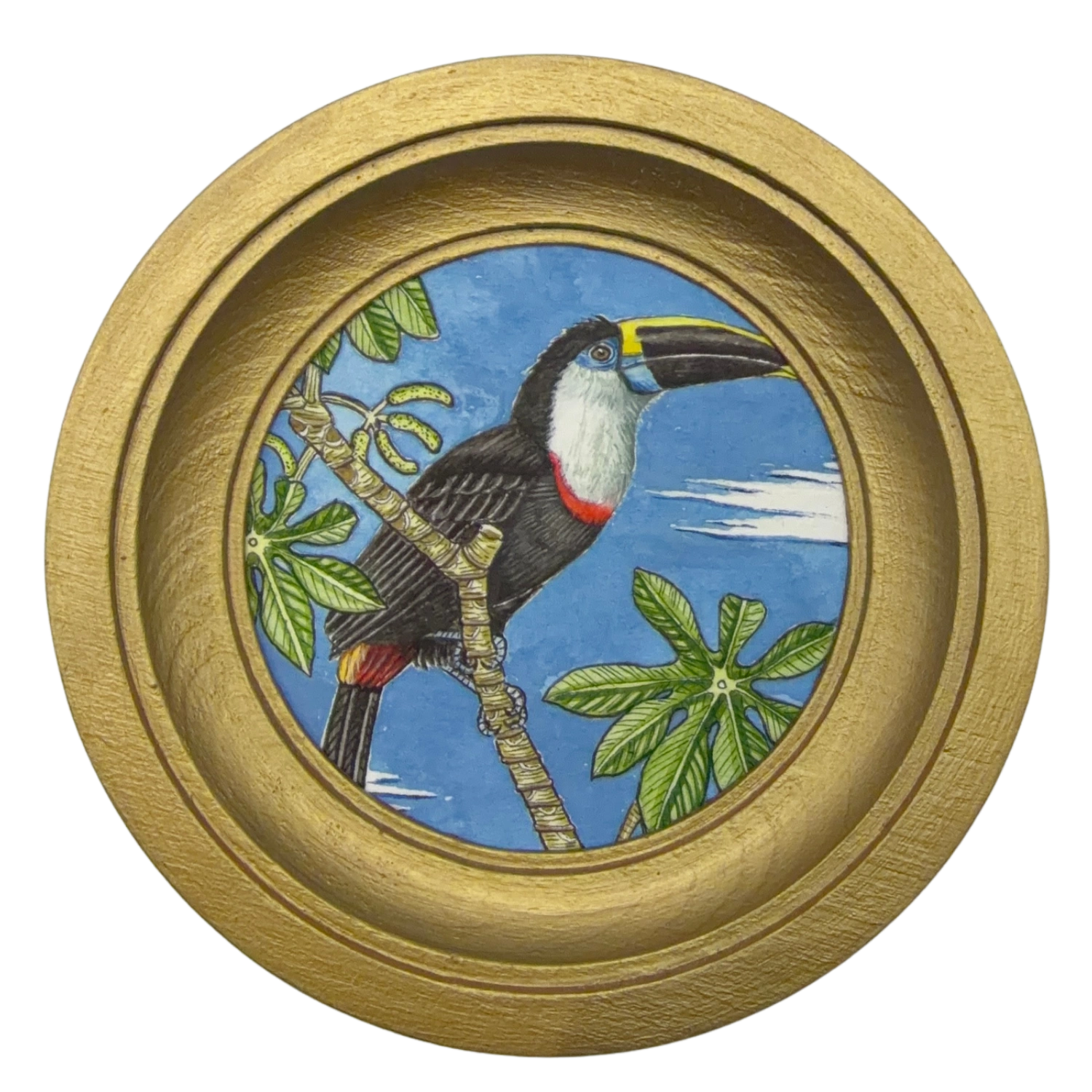 [119] White-throated toucan