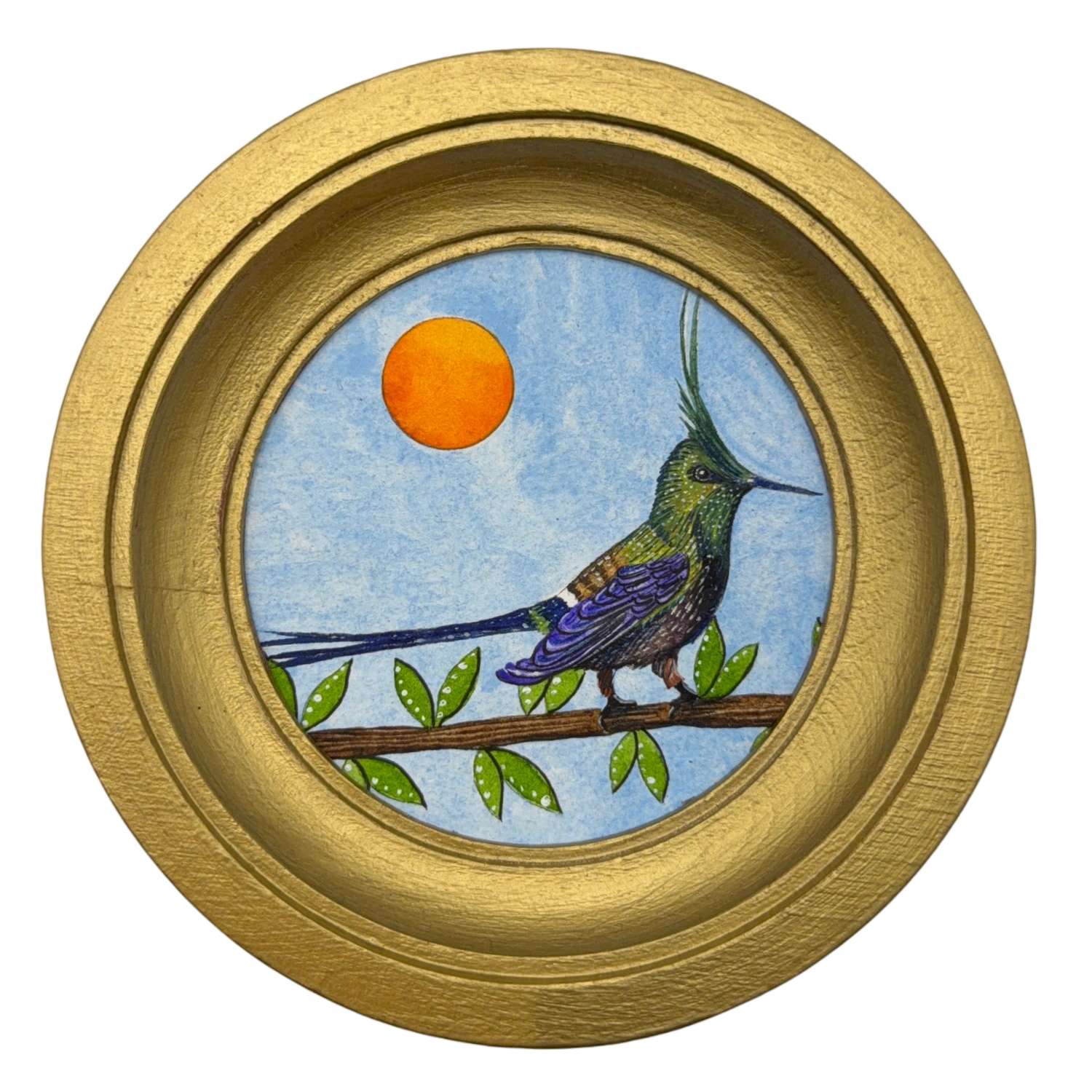 [121] Wire-crested thorntail