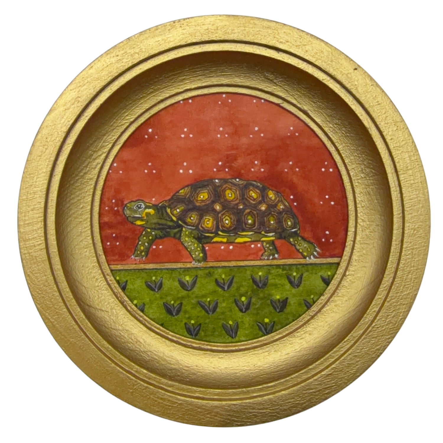 [122] Yellow-footed tortoise