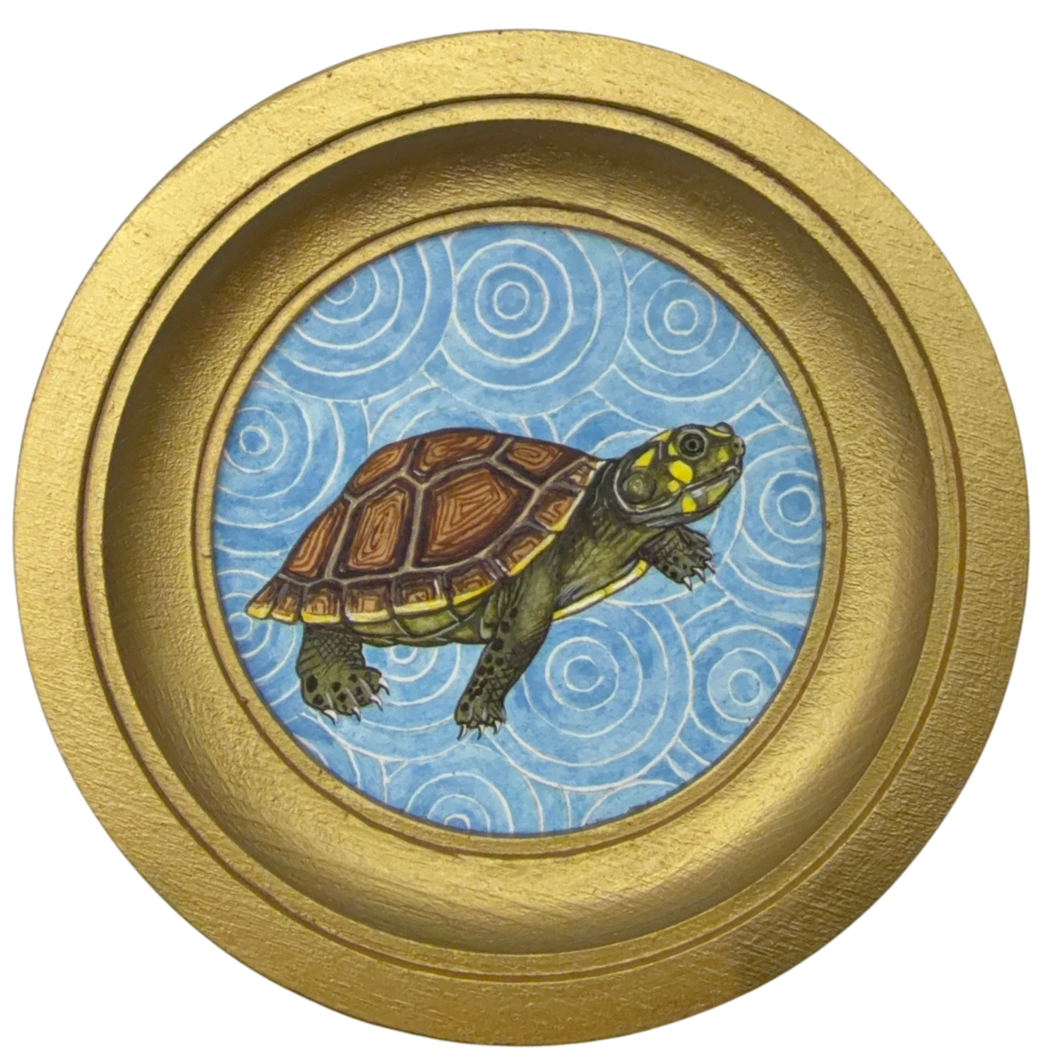 [123] Yellow-spotted river turtle