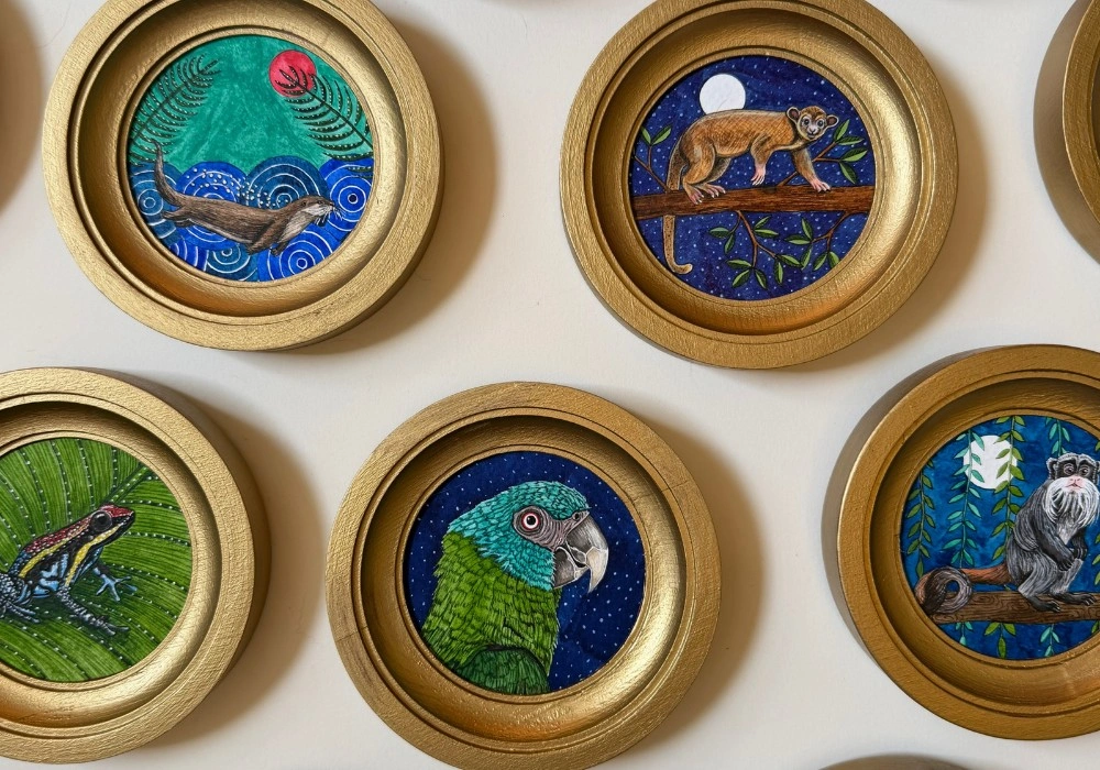 Five framed MANU Collection miniatures displayed on a wall